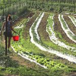 8a4b2002-ceca-4d5f-b7f5-b36a95b5547e(1)