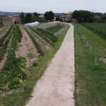 Photo_6619389_DJI_253_jpg_4009038_0_2021716145324_photo_original_1__1_