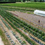 RemoteMediaFile_6619396_0_2021_07_16_14_57_26